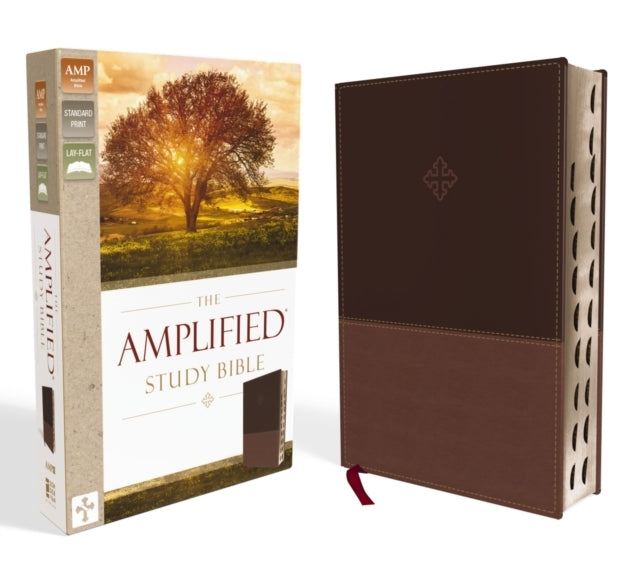 Amplified Study Bible, Indexed [Brown]