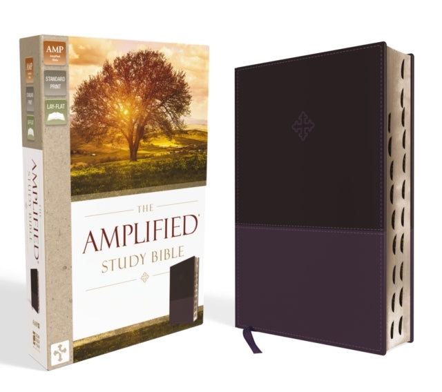 Amplified Study Bible, Indexed [Purple]