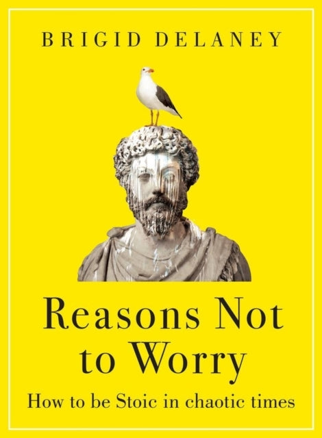 Reasons Not To Worry How To Be Stoic In Chaotic Times