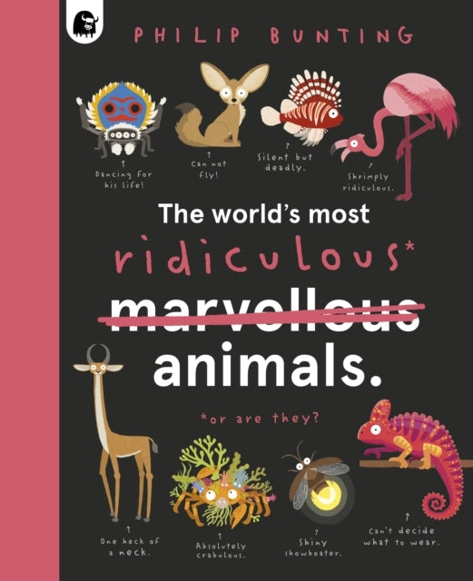 The World'S Most Ridiculous Animals