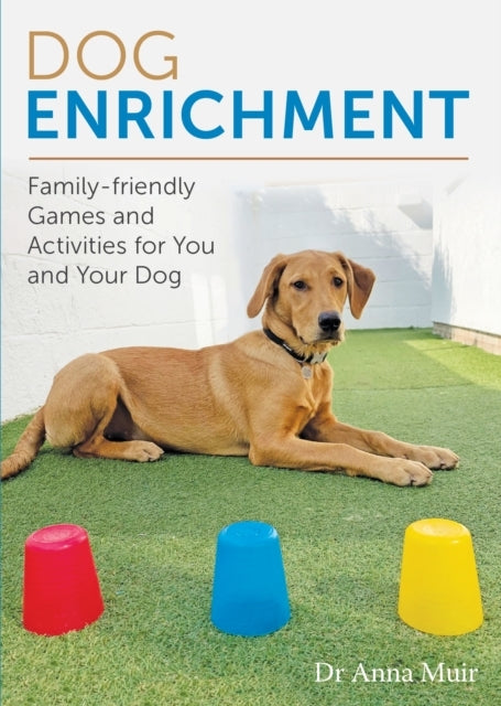 Dog Enrichment Family-Friendly Games And Activities For You