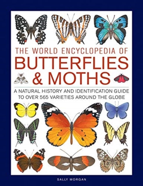 Butterflies & Moths, the World Encyclopedia of