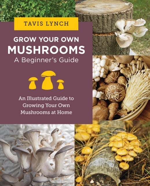 Grow Your Own Mushrooms a Beginner's Guide