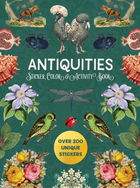 D1 Antiquities Sticker, Color & Activity Book