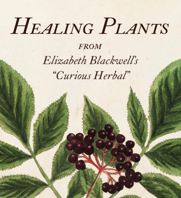 Healing Plants From Elizabeth Blackwell'S "Curious Herbal"