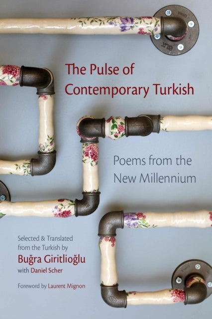 The Pulse of Contemporary Turkish Poems From The New Millenn