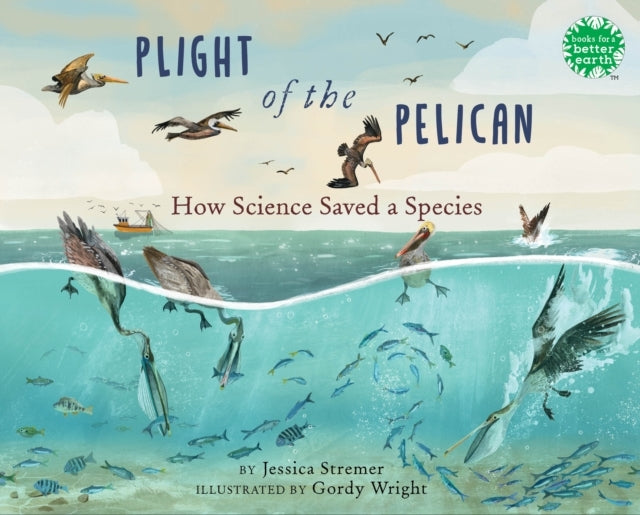 Plight of The Pelican How Science Saved A Species