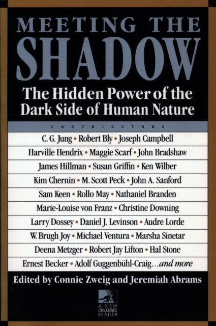 Meeting the Shadow