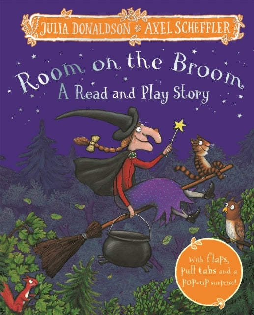Room On The Broom: A Read And Play Story