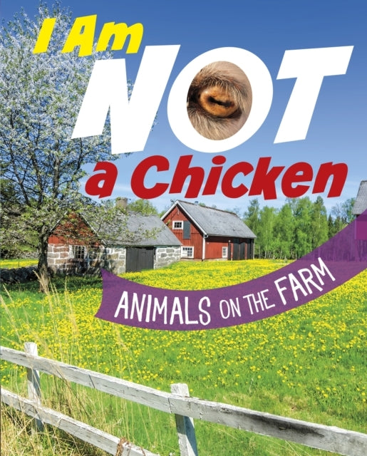 I Am Not A Chicken Animals On The Farm