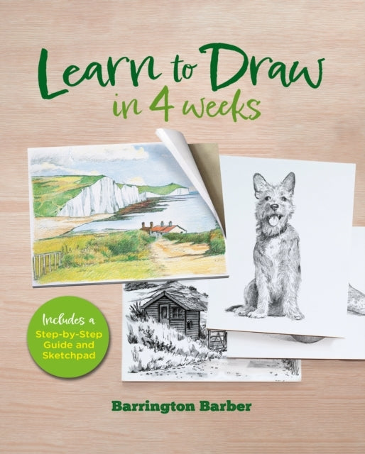 Learn To Draw In 4 Weeks Includes A Step-By-Step Guide and S