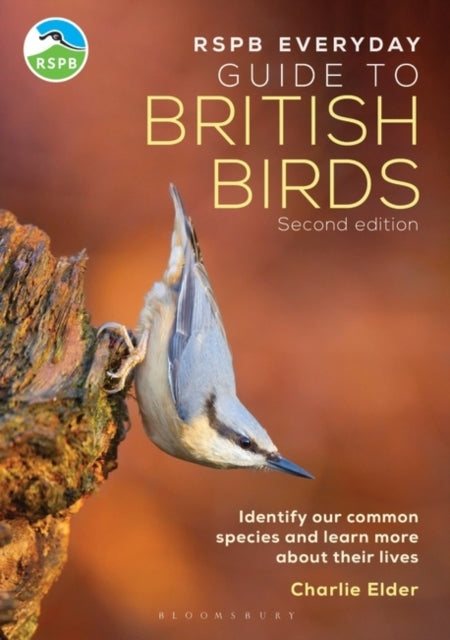 The Rspb Everyday Guide To British Birds Identify Our Common