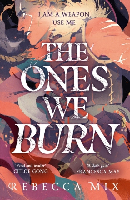 The Ones We Burn The New York Times Bestselling Dark Epic Yo