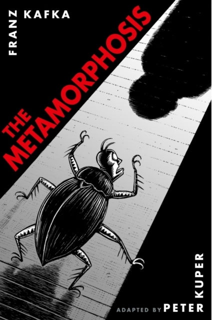 The Metamorphosis: the Illustrated Edition