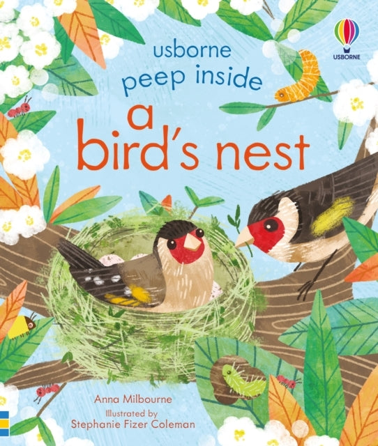 Peep Inside A Bird'S Nest