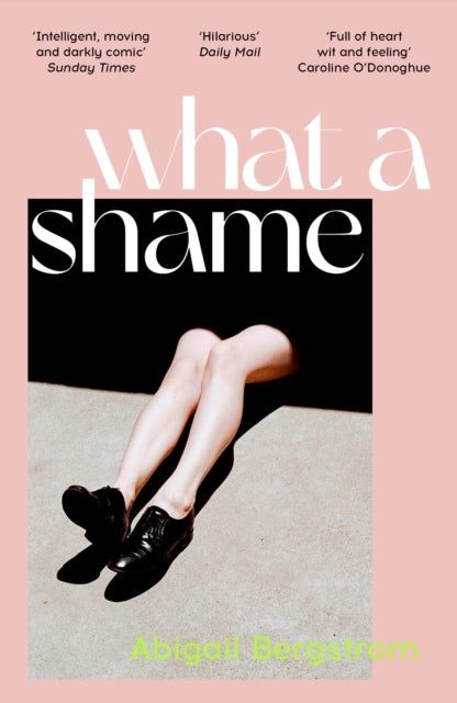 What A Shame 'Intelligent, Moving and Darkly Comic' The Sunday Times