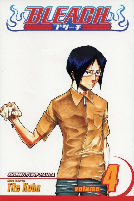 Bleach Vol. 4