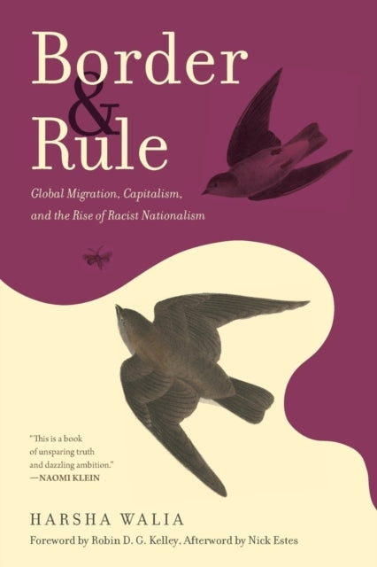 Border and Ruleglobal Migration Capitalism and the Rise of