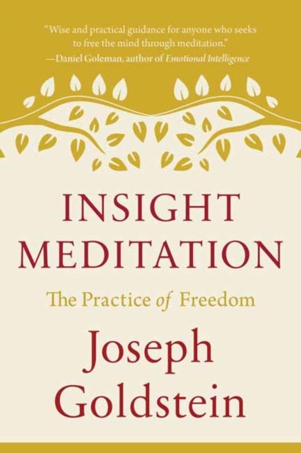 Insight Meditation The Practice of Freedom