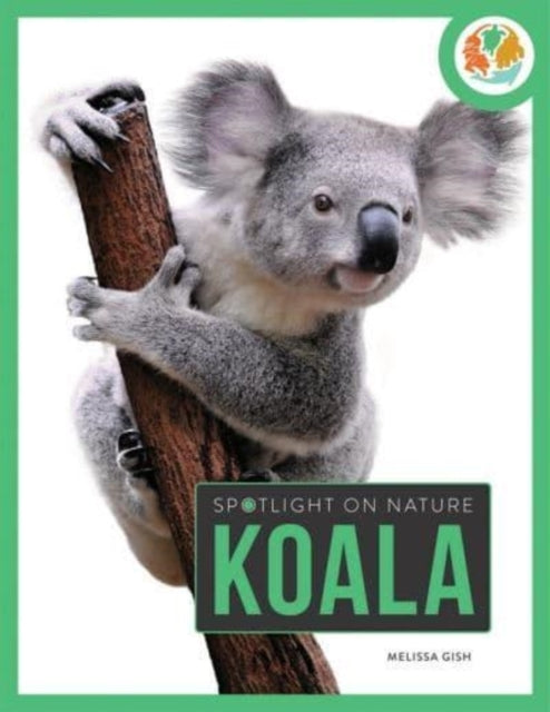 Spotlight On Nature Koala