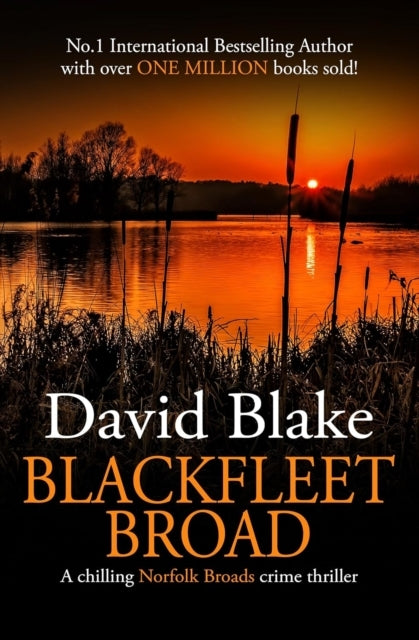 British Detective Tanner Murder Mystery Series