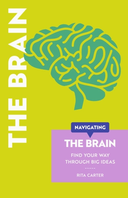 Navigating The Brain Find Your Way Through Big Ideas
