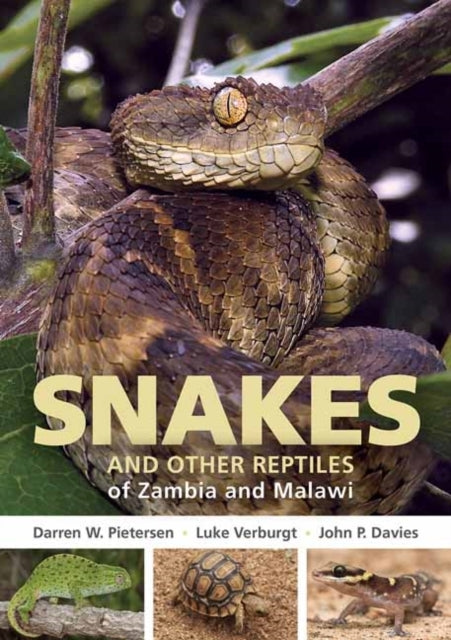 Field Guide to Snakes and Other Reptiles of Zambia and Malaw