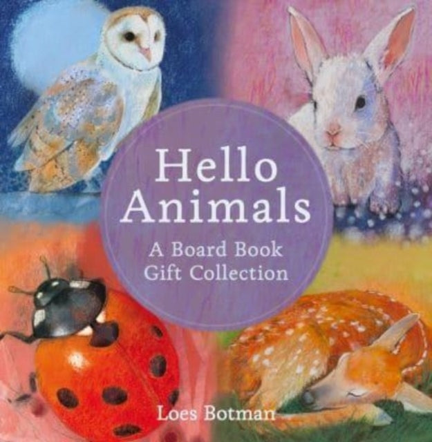 Hello Animals a Board Book Gift Collection