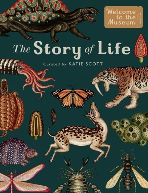 The Story of Life Evolution (extended Edition)
