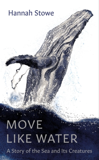 Move Like Water A Story of The Sea and Its Creatures