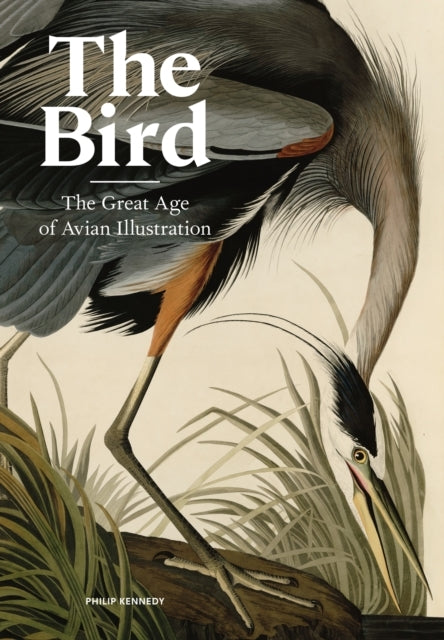 The Bird The Great Age Of Avian Illustration