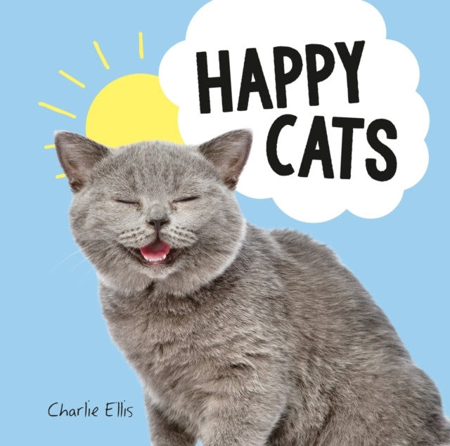 Happy Catsphotos of Felines Feeling Fab
