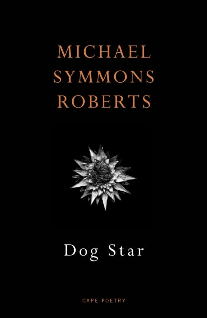 Dog Star