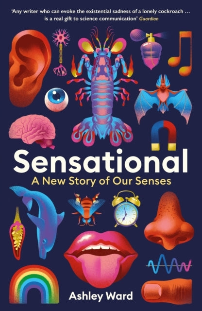 Sensationala New Story Of Our Senses