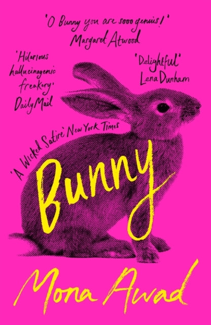 D1 Bunny
