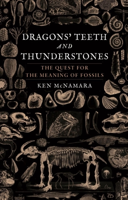 Dragons’ Teeth and Thunderstones