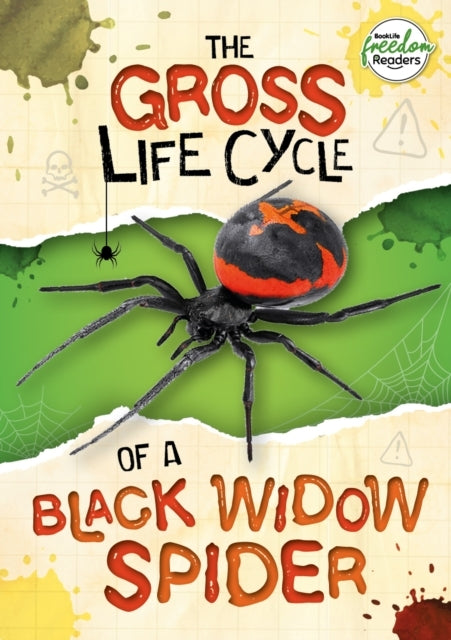The Gross Life Cycle of A Black Widow Spider