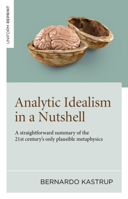 Analytic Idealism In A Nutshella Straightforward Summary of