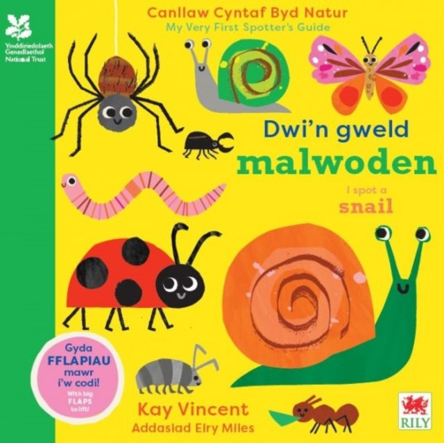 Dwi'N Gweld Malwoden / I Spot A Snailcanllaw Cyntaf Byd Natu