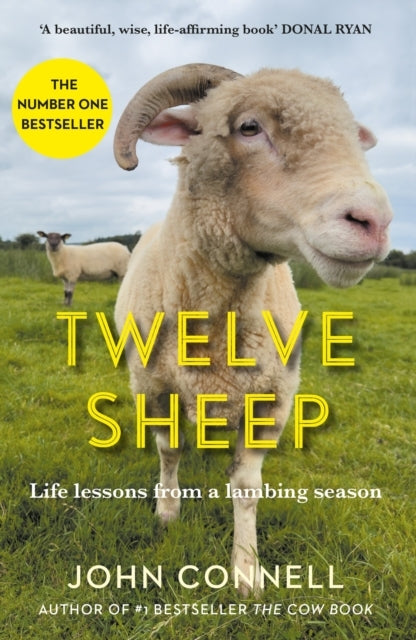 Twelve Sheeplife Lessons From A Lambing Season