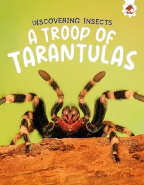 Discovering Insects A Troop Of Tarantulas