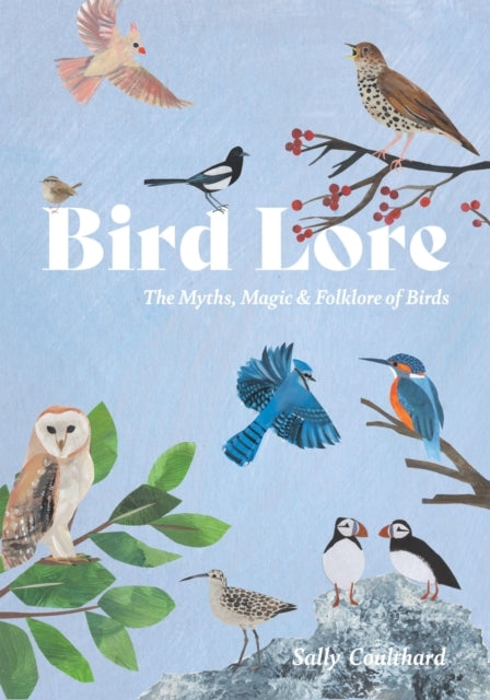 Bird Lorethe Myths Folklore and Meaning of Birds