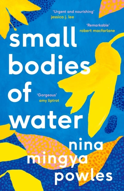 SMALL BODIES OF WATER.