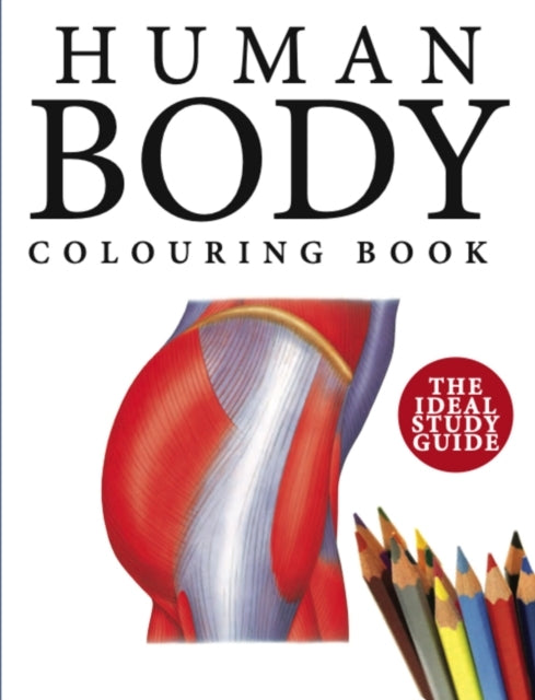 D1 Human Body Colouring Book