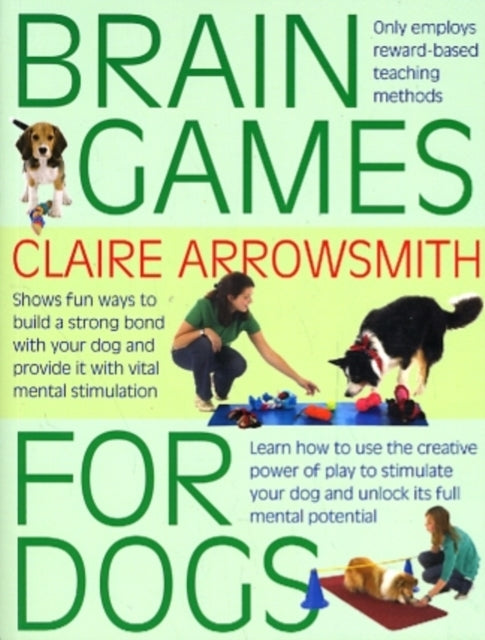 Brain Games For Dogsfun Ways To Build A Strong Bond With You