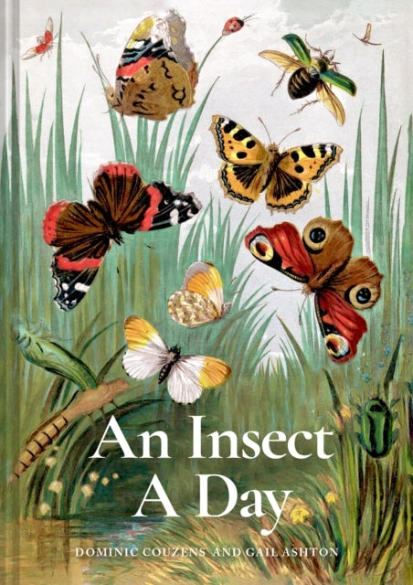 An Insect a Daybees Bugs and Pollinators for Every Day of