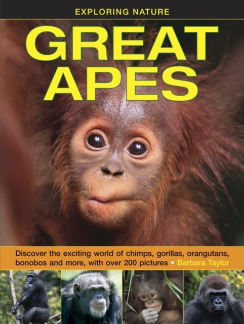 Exploring Nature Great Apes