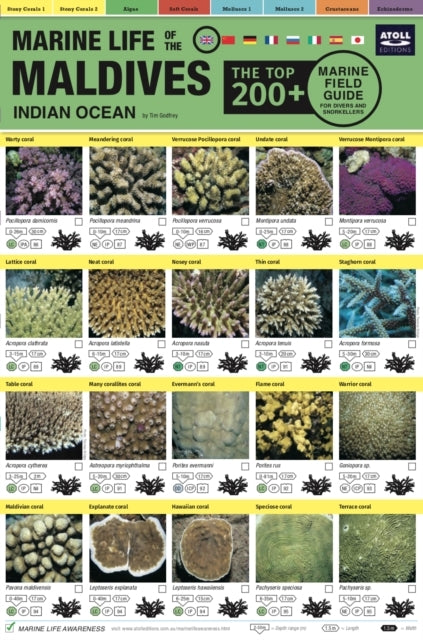 D1 Marine Life of the Maldives
