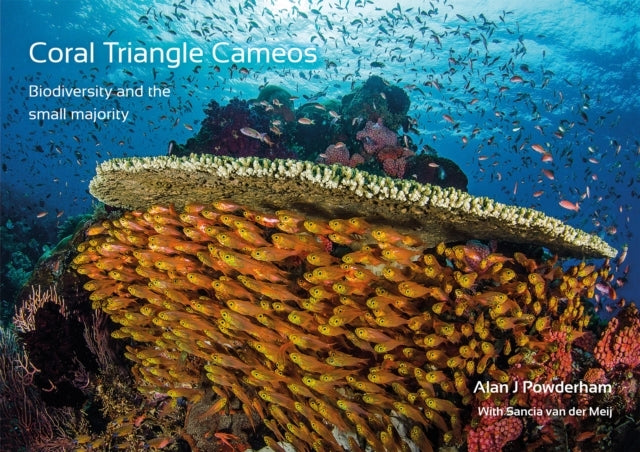 Coral Triangle Cameosbiodiversity and The Small Majority