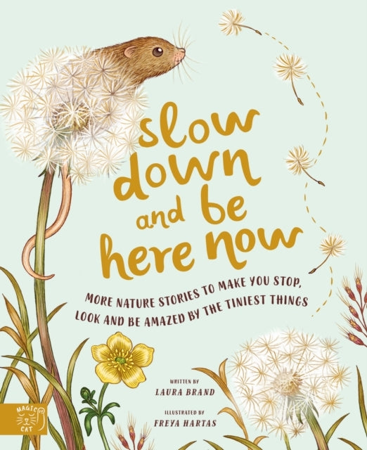 Slow Down and Be Here Nowmore Nature Stories To Make You Sto